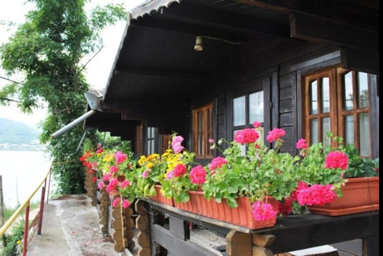 Gratca Nr 164 Orsova Villa ภายนอก รูปภาพ