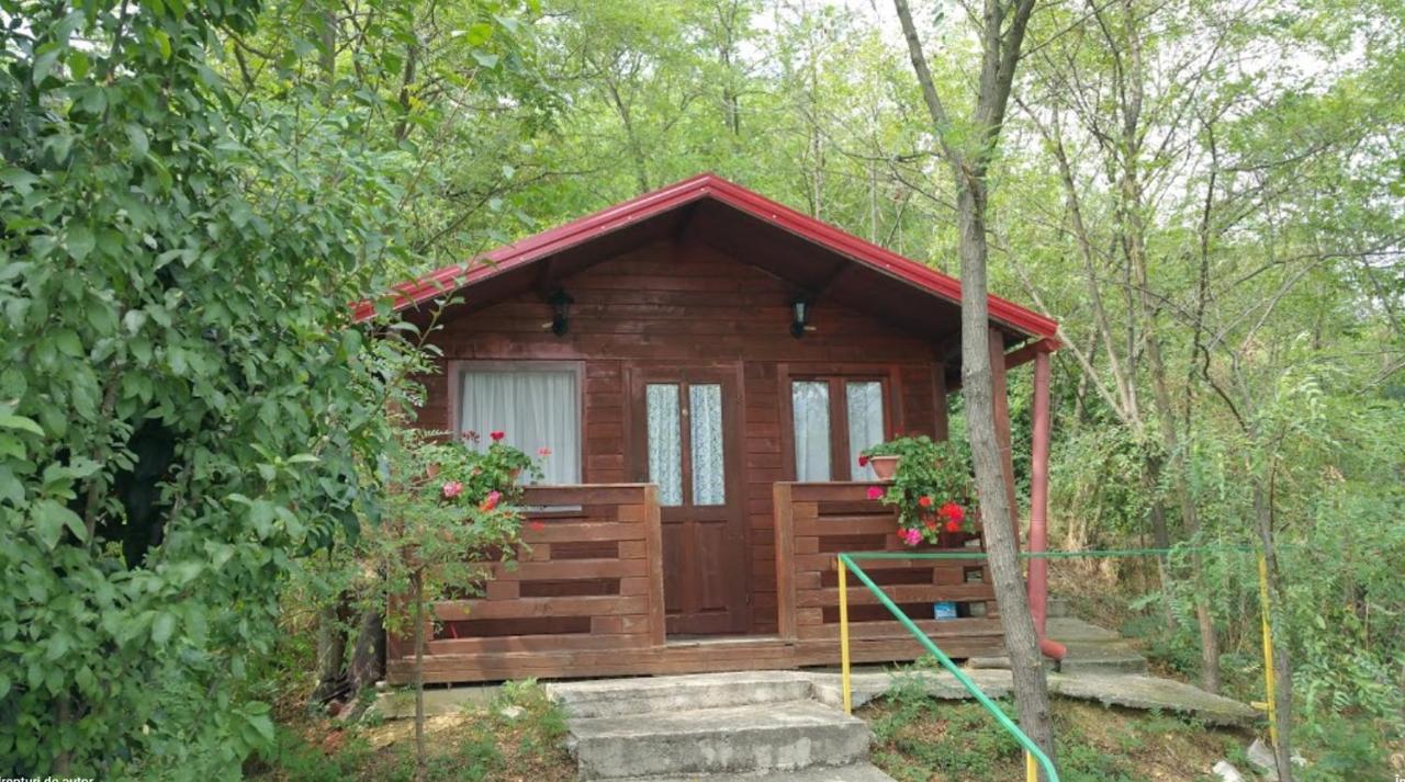 Gratca Nr 164 Orsova Villa ภายนอก รูปภาพ