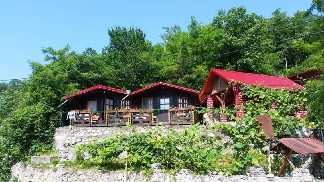 Gratca Nr 164 Orsova Villa ภายนอก รูปภาพ
