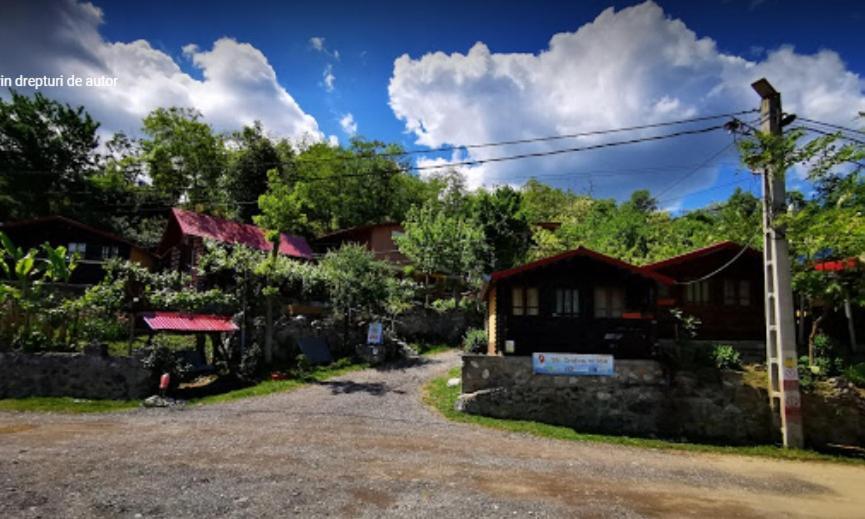 Gratca Nr 164 Orsova Villa ภายนอก รูปภาพ