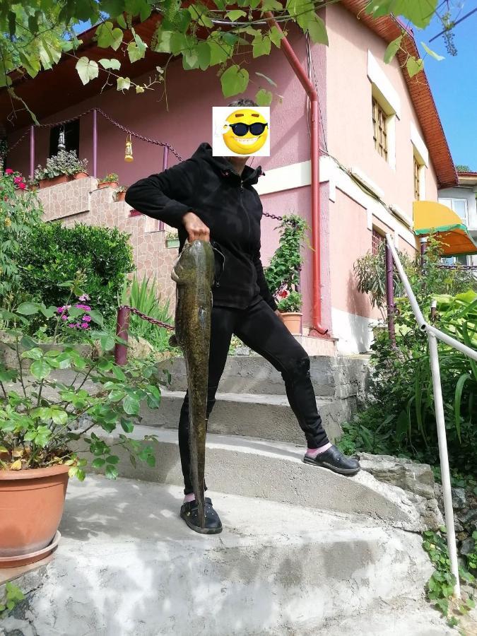 Gratca Nr 164 Orsova Villa ภายนอก รูปภาพ